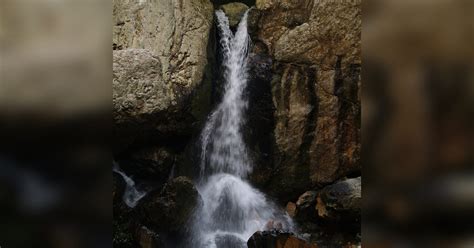 Tada Falls In Chittoor Near Chennai: A Picturesque Trekking Spot | LBB