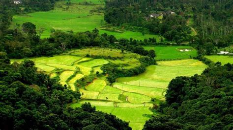 Coorg Taxi Service - Taxi service provider in Madikeri, Coorg - Taxi Coorg