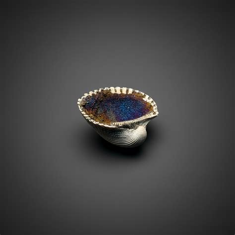 Bivalve (Pelecypoda) Fossil Sea Shell with Chalcopyrite | Mineralized – Wandering Stones