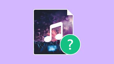 JSON Format Audio 的图像结果