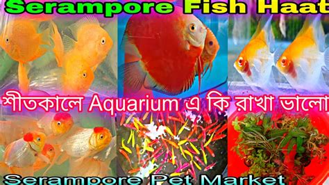 Image result for Computer Error Background