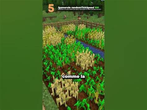 Image result for Commande Minecraft Pour Build