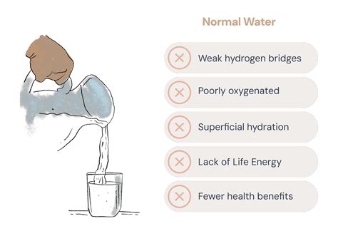 Jiva Water Jiva Water Devices - Fresh, Energized Water for a Healthier You