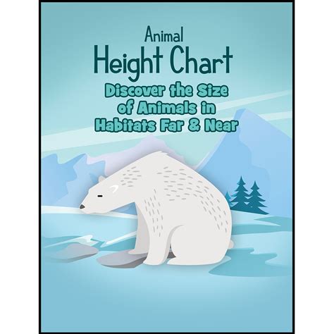Polar Bear Size Chart