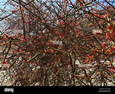 Image result for Multi-Input Fild HTML