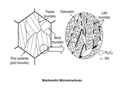 Microstructure of Low, Medium and High Carbon Steels.pptx