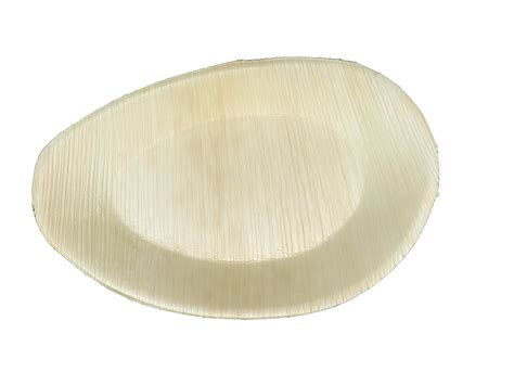 Buy NASISO Areca Leaf Plates Oval Shape Plates 10 Inch Pack of 50 ...