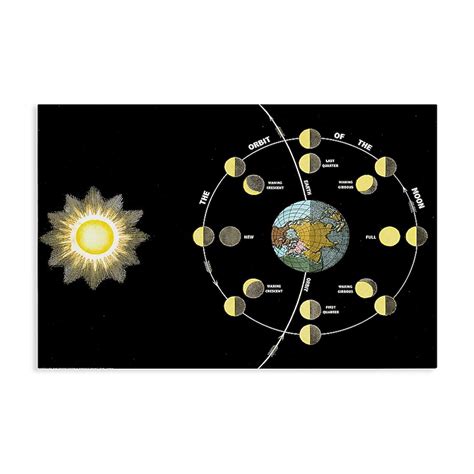 Stupell Industries Moon's Orbit and Phases Canvas Wall Art By Phillipa ...