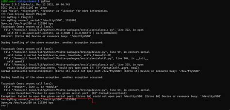 Image result for Python E Coding Pic Ping