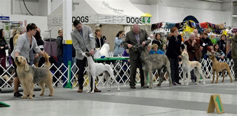 WDC Winter Conformation Show @ Sunnyview Expo Center, Sunnyview Expo ...