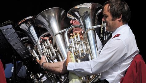 Image result for Musical Instruments Sounds and Types