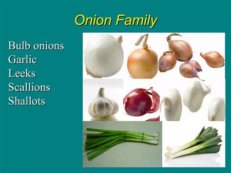 classification of vegetable | PDF