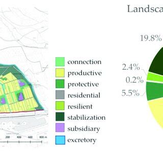 Define Local 的图像结果