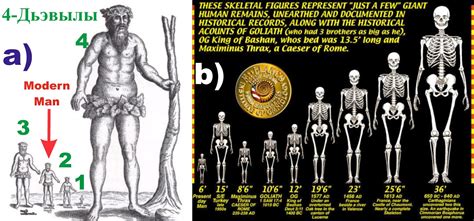 Image result for Skeleton Brain Exploding