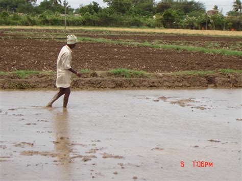 55. Sowing of Direct Planting System