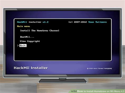 Image result for WiiBrew Installation Guide
