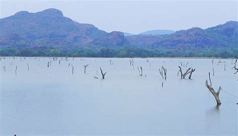 Kandalama Reservoir Tour With A Complete Guide For Travellers