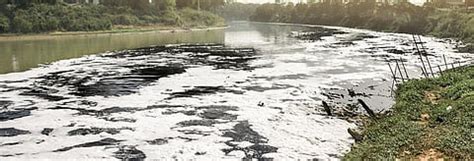 Rivers across the world have high levels of antibiotics