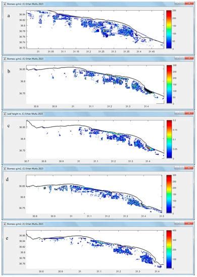 A Package of Script Codes, POSIBIOM for Vegetation Acoustics: POSIdonia ...