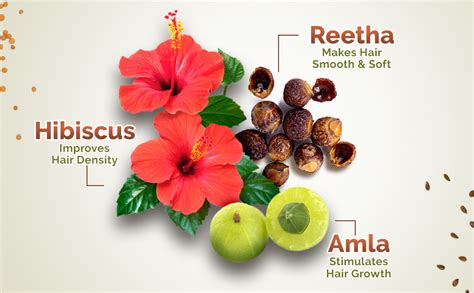 Buy Mamaearth Kerala Thaali Conditioner 250 millilitre with Hibiscus ...