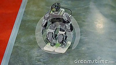 Dancing Robot Show 的图像结果