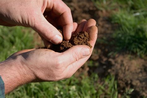 Image result for How to Take Soil Sample for Testing