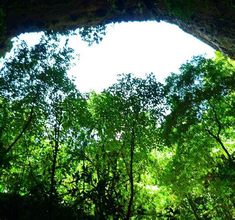 CLARA CAVE (CUEVA CLARA) (2026) All You Need to Know BEFORE You Go ...