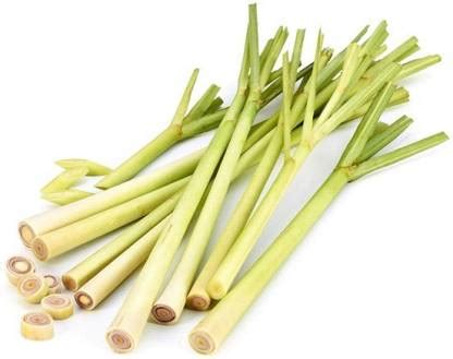 XYGEN लेमन ग्रास/Lemon grass (Cymbopogon citratus) Seed Price in India ...