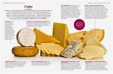 Виды сыров и их классификация: все о сортах сыра