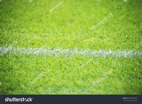 Natural Grass Field 的图像结果