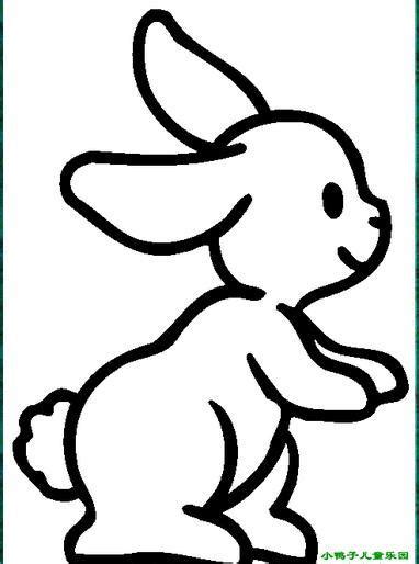 《可爱的小白兔》儿童画2幅(第2页)