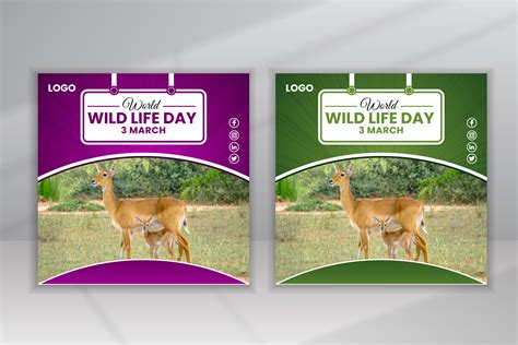 Environment Template Design 的图像结果