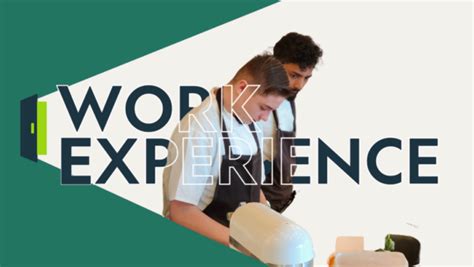 Work Exp Pic 的图像结果