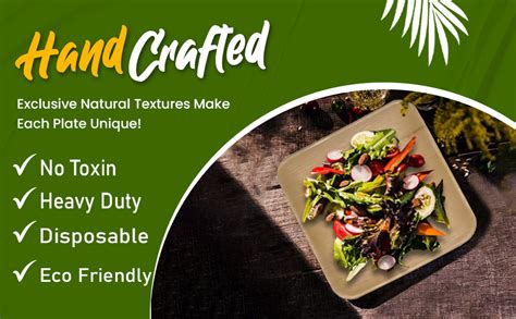 Buy SMS HYDROTECH Palm Leaf Plates Bamboo Plates Disposable 10 Inch ...