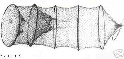 Image result for How to Set a Hoop Net for Fish