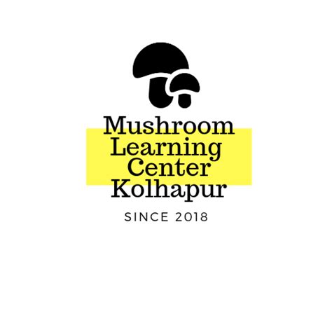 Scope of Mushroom Business in Maharashtra, India