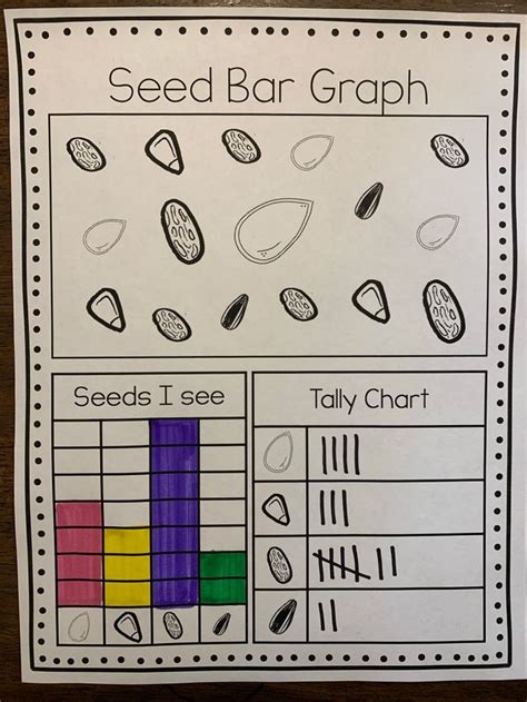 Image result for Big Seed ST Math