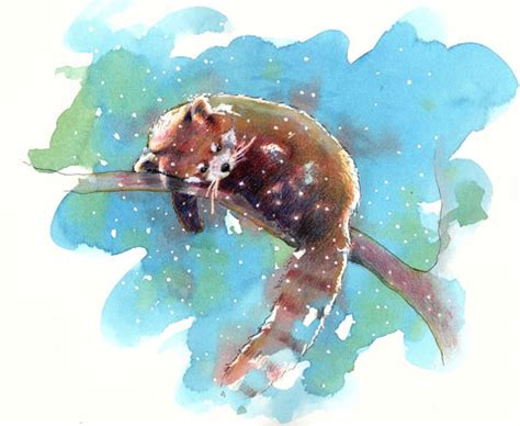 Red Panda by Joel Jerry | Buy Posters, Frames, Canvas & Digital Art ...