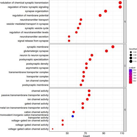 Image result for Go Explained