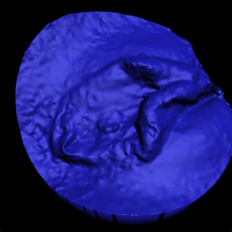 generate a vagina image