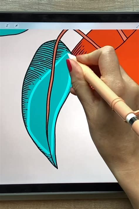 Procreate Drawing Techniques 的图像结果