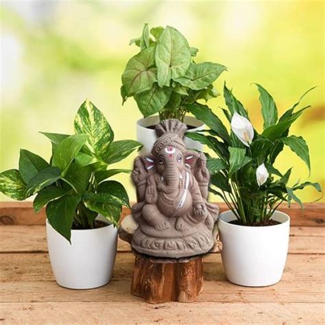 Celebrate eco-friendly Ganesh Chaturthi with these plantable idols