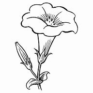 Image result for Difficult Flower Coloring Pages