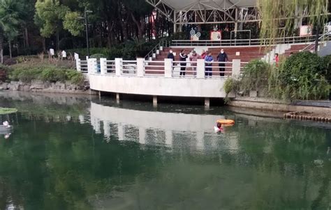 莘城中央公园女子落水！72岁闵行爷叔跳河救人，而这仅仅是开始…… - 封面新闻