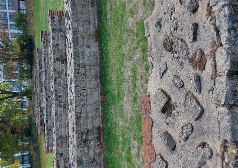 Roman Circus Visitor Centre (Colchester) - All You Need to Know BEFORE ...