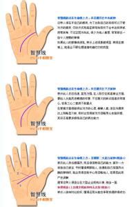 智慧线末端分叉有什么预兆？ 智慧线末端分叉-周易算命网