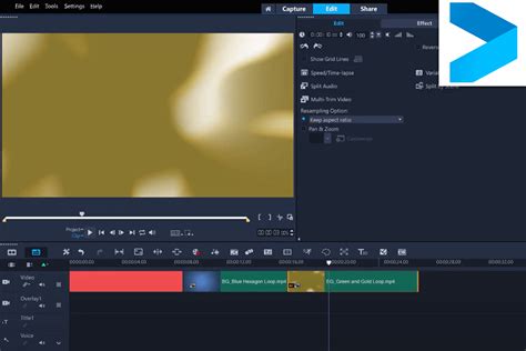 Image result for Corel VideoStudio Interface