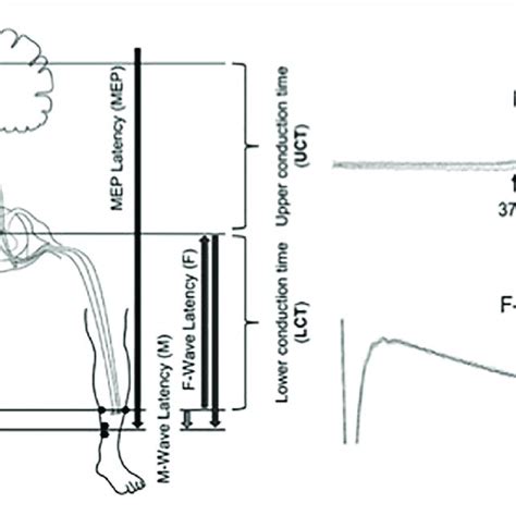 Image result for Conduction Questions Calculation