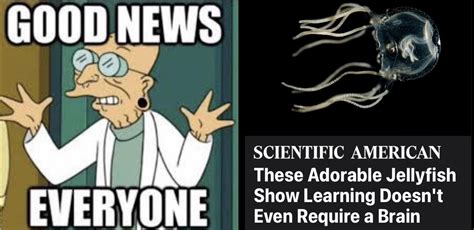 Get happy boys… | /r/memes | Good News Everyone! | Know Your Meme