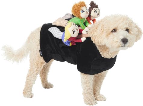 Best Disney Dog Costumes 2023: According to Reviews | Chewy
